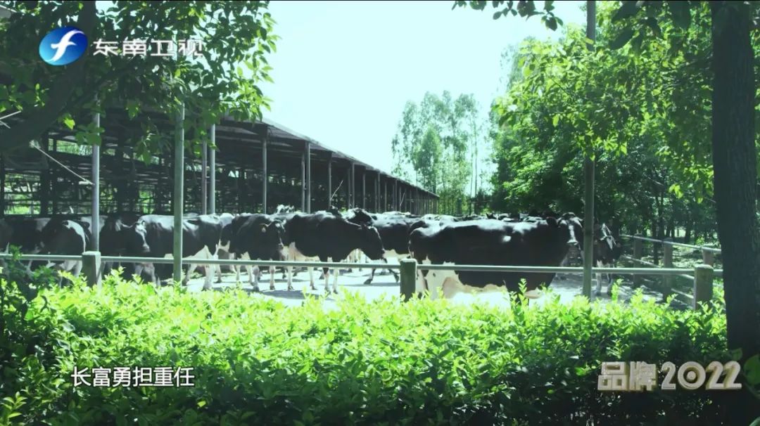 202204010843354335 首页|7790必发集团中国官方网站
